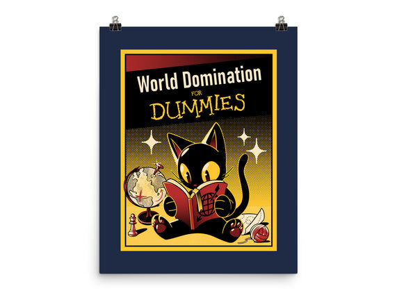 World Domination For Dummies