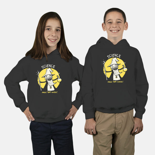 Science Has The Solutions-Youth-Pullover-Sweatshirt-Wenceslao A Romero