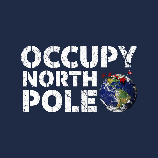 Occupy North Pole-Womens-Fitted-Tee-Boggs Nicolas