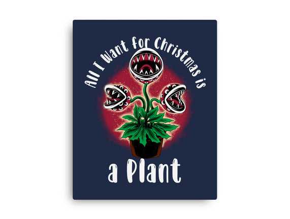 Christmas Plant