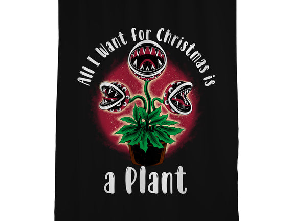 Christmas Plant