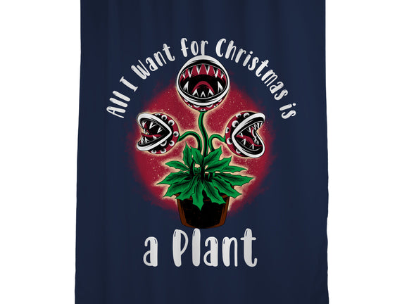 Christmas Plant