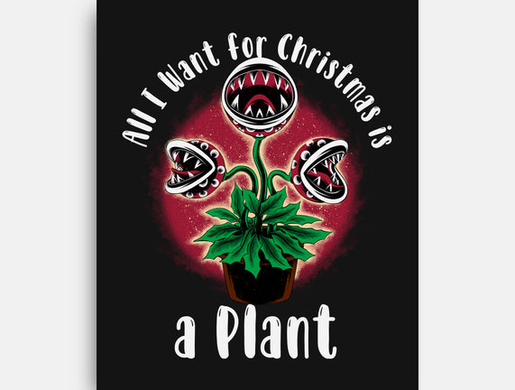 Christmas Plant