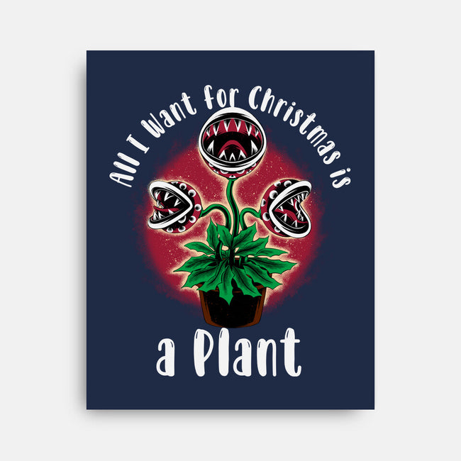 Christmas Plant-None-Stretched-Canvas-rmatix