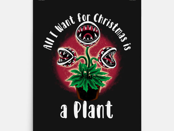 Christmas Plant