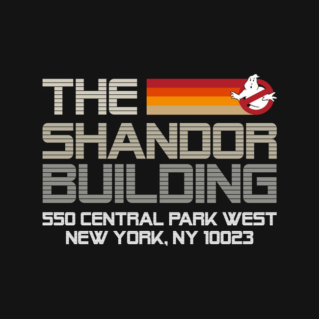 The Shandor Building-Womens-V-Neck-Tee-DrMonekers