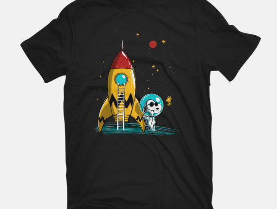 Space Explorer