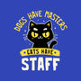 Cats Have Staff-Womens-V-Neck-Tee-koalastudio