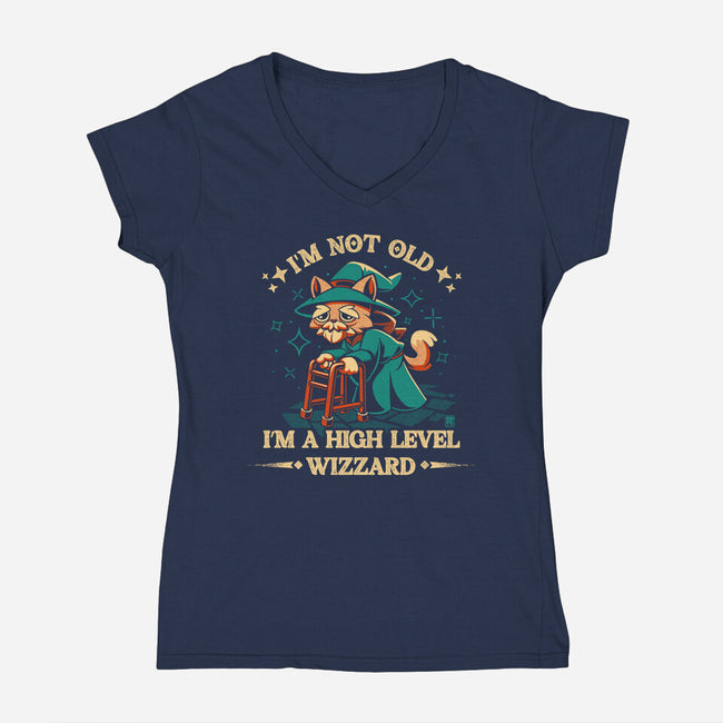 High Level Wizard-Womens-V-Neck-Tee-worlddominationforcats