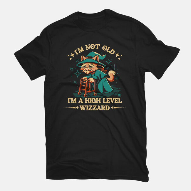 High Level Wizard-Mens-Basic-Tee-worlddominationforcats