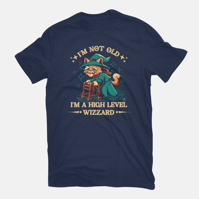 High Level Wizard-Womens-Fitted-Tee-worlddominationforcats