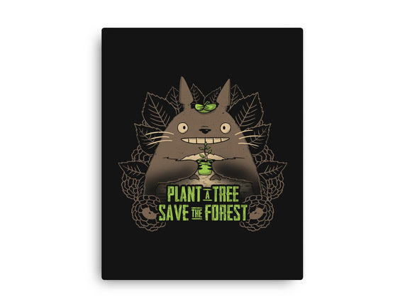 Totoro Plant