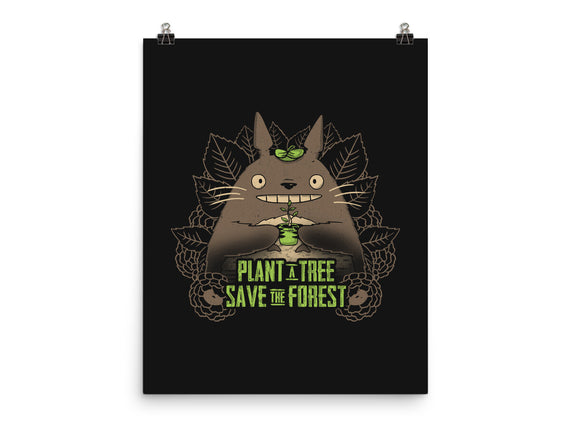 Totoro Plant