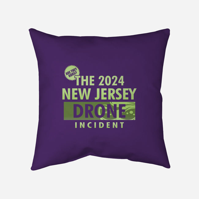 New Jersey Drone Incident-None-Removable Cover w Insert-Throw Pillow-Boggs Nicolas