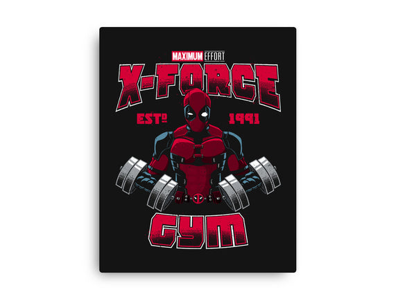 X-Force Gym