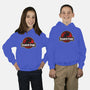 Shadow Park-Youth-Pullover-Sweatshirt-spoilerinc