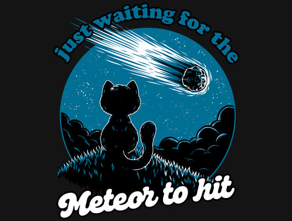 Cat Waiting The Meteor