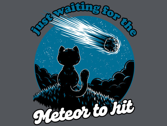 Cat Waiting The Meteor