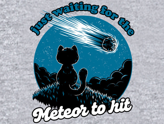 Cat Waiting The Meteor