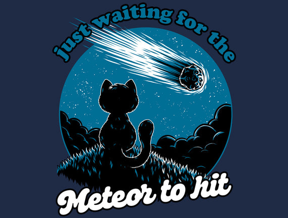 Cat Waiting The Meteor