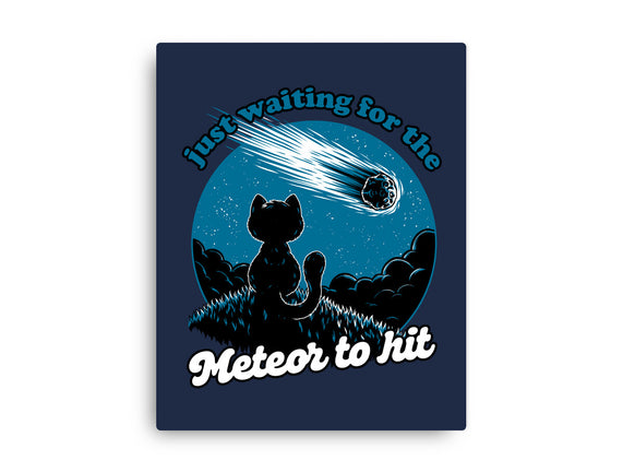 Cat Waiting The Meteor