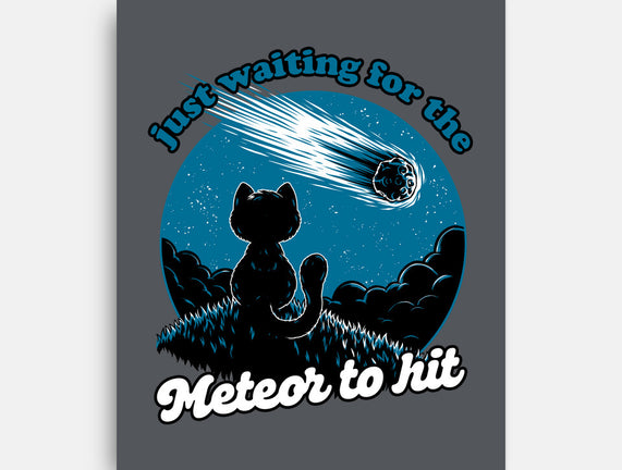 Cat Waiting The Meteor