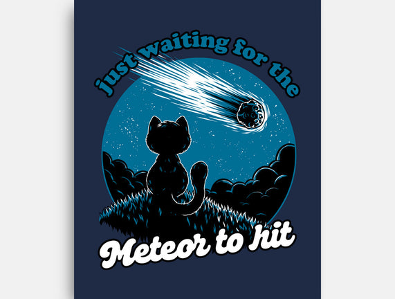 Cat Waiting The Meteor