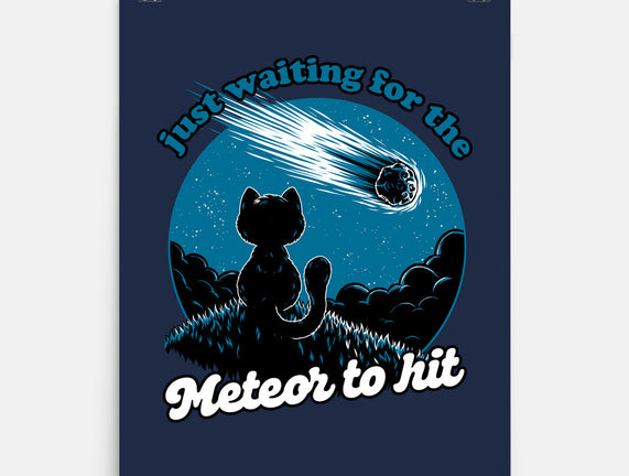 Cat Waiting The Meteor