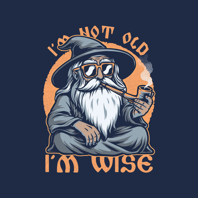 Wise Old Wizard-Youth-Pullover-Sweatshirt-Studio Mootant