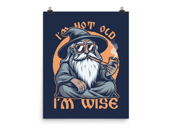 Wise Old Wizard