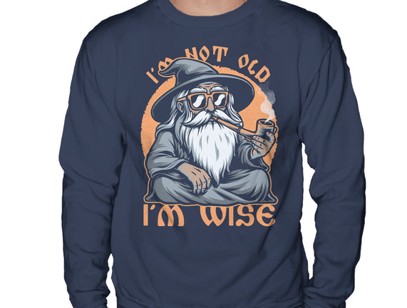 Wise Old Wizard