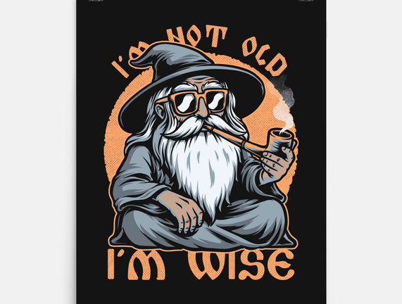 Wise Old Wizard