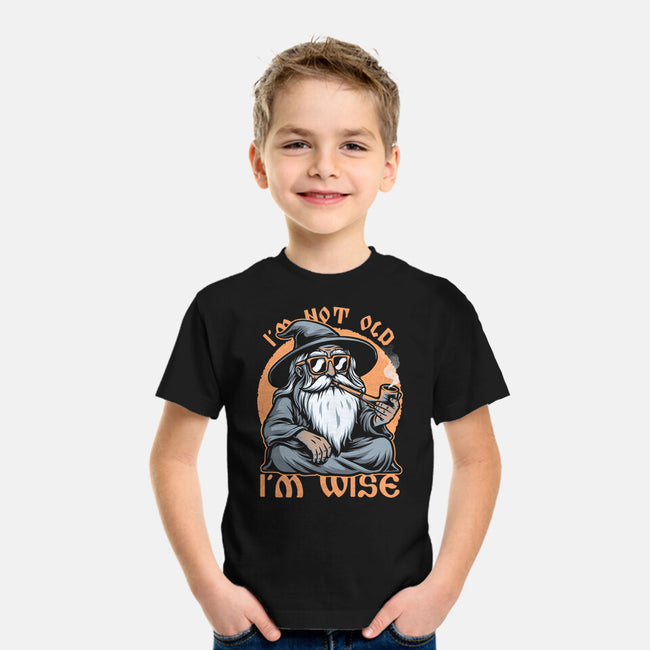 Wise Old Wizard-Youth-Basic-Tee-Studio Mootant