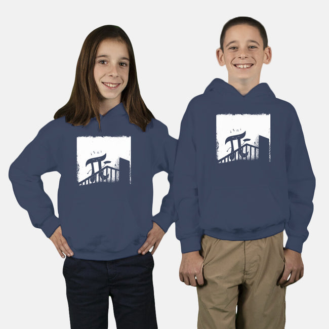 NosPIratu-Youth-Pullover-Sweatshirt-Boggs Nicolas