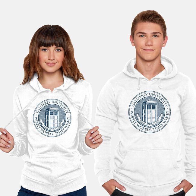 Timeless University-Unisex-Pullover-Sweatshirt-retrodivision