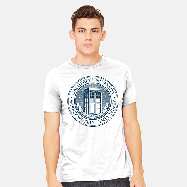 Timeless University-Mens-Heavyweight-Tee-retrodivision