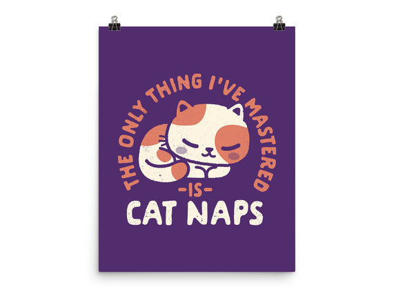 Cat Naps