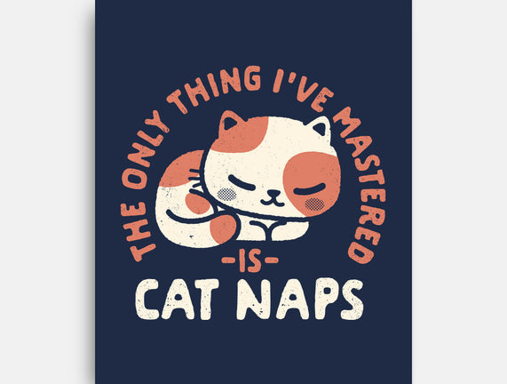 Cat Naps