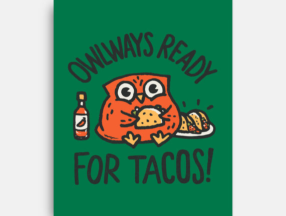 Owlways Ready For Tacos