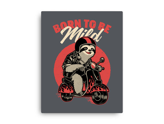 Radical Sloth Biker