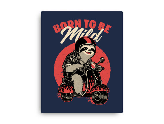 Radical Sloth Biker