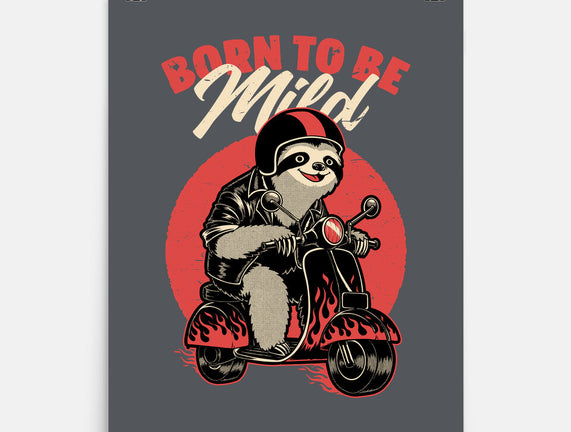 Radical Sloth Biker