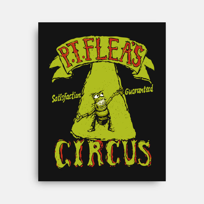 Flea Circus-None-Stretched-Canvas-dalethesk8er