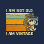 Vintage Vibes-None-Drawstring-Bag-kg07