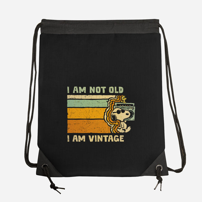 Vintage Vibes-None-Drawstring-Bag-kg07