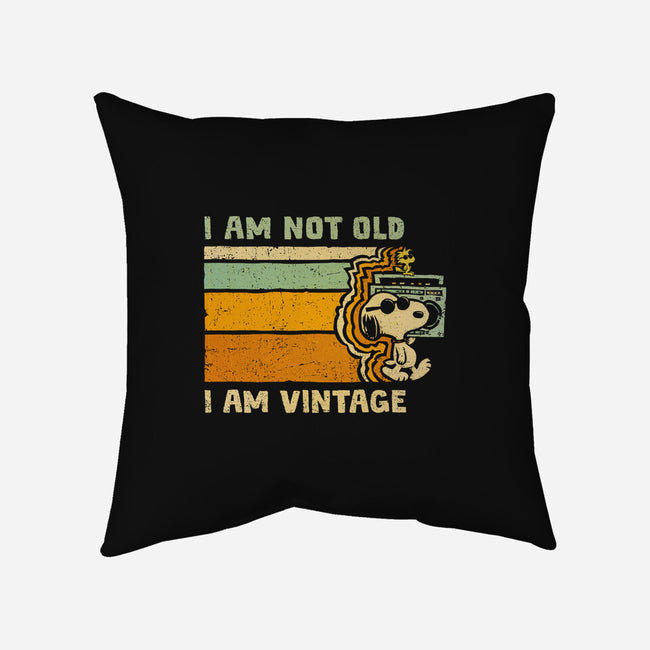 Vintage Vibes-None-Removable Cover w Insert-Throw Pillow-kg07