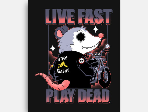 Live Fast Play Dead