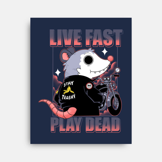 Live Fast Play Dead-None-Stretched-Canvas-Tri haryadi