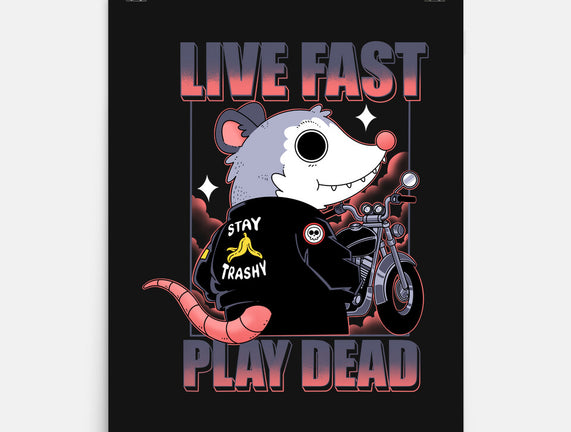 Live Fast Play Dead