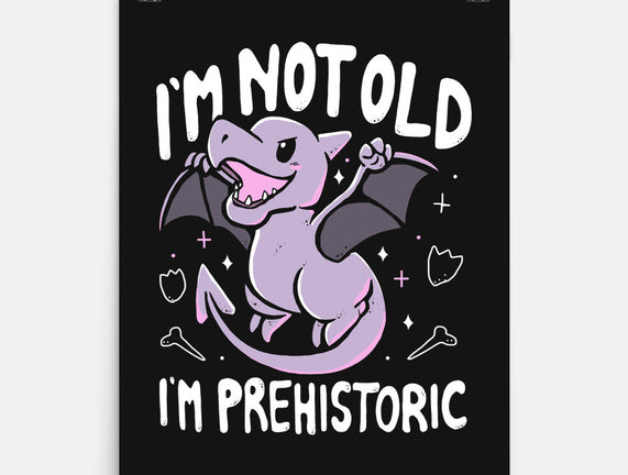 Not Old I'm Prehistoric